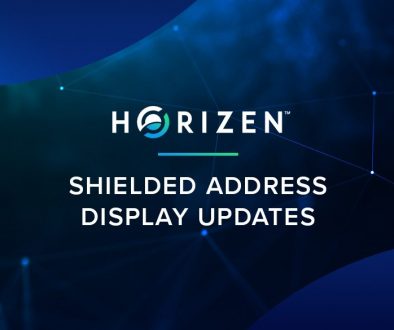HZ_shielded-address-display-updates