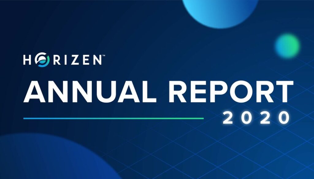 large-2020-annual-report-01