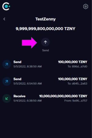 Horizen-Cobalt-Wallet-Send