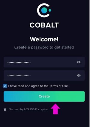 Horizen-Cobalt-Wallet-Signon