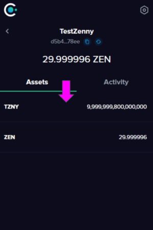 Horizen-Cobalt-Wallet-TZNY